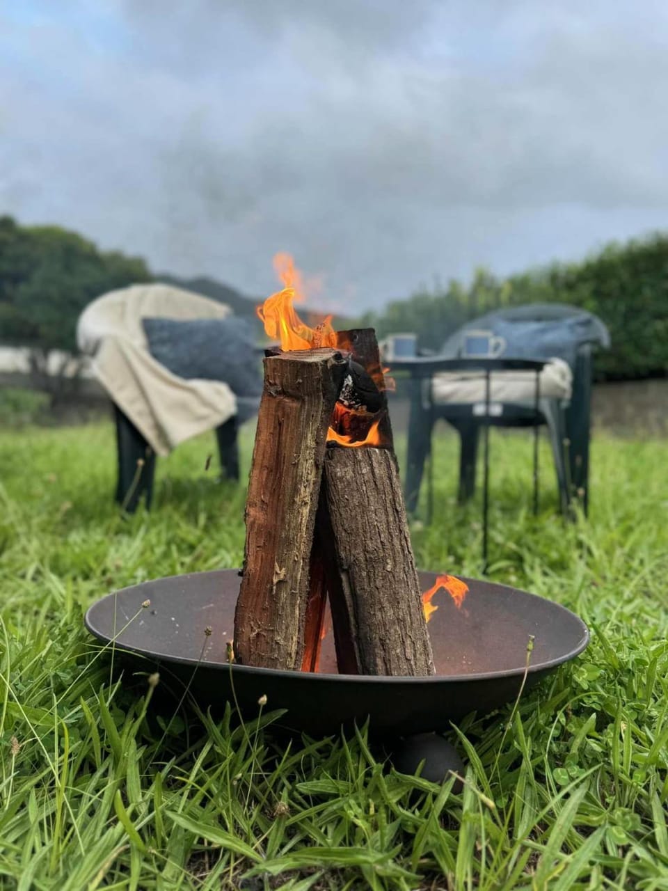 Day, Natural landscape, BBQ facilities, Garden, Garden view