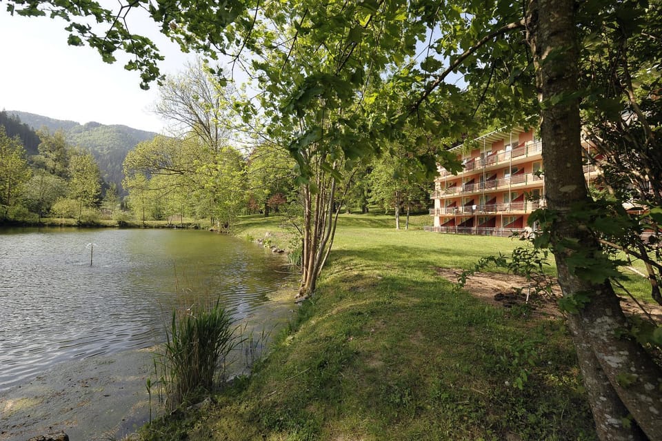 Lake view