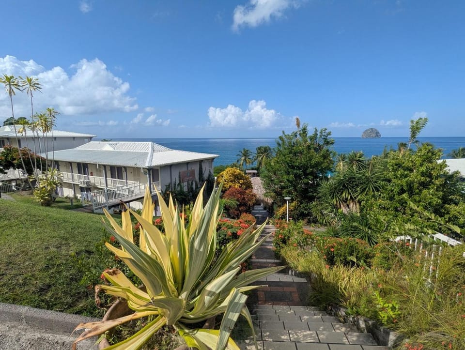 Property building, Garden, Garden view, Sea view