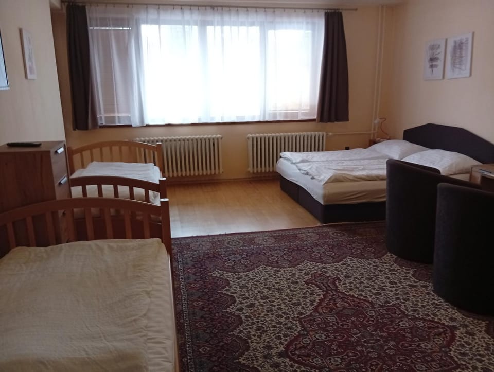 Penzion Helena Vacation rental in Slovakia