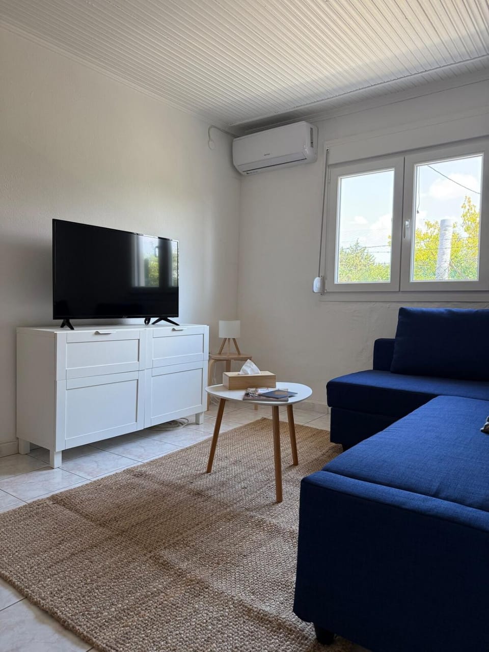 Living room, Photo of the whole room, air conditioner
