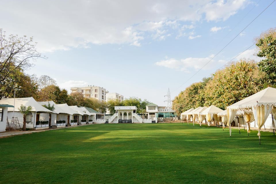 Spring, Day, Garden, Garden, Garden view
