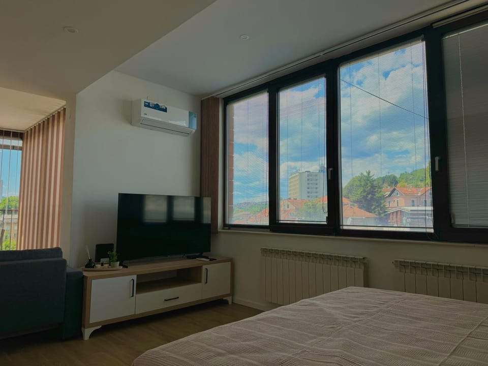 Communal lounge/ TV room, TV and multimedia, air conditioner