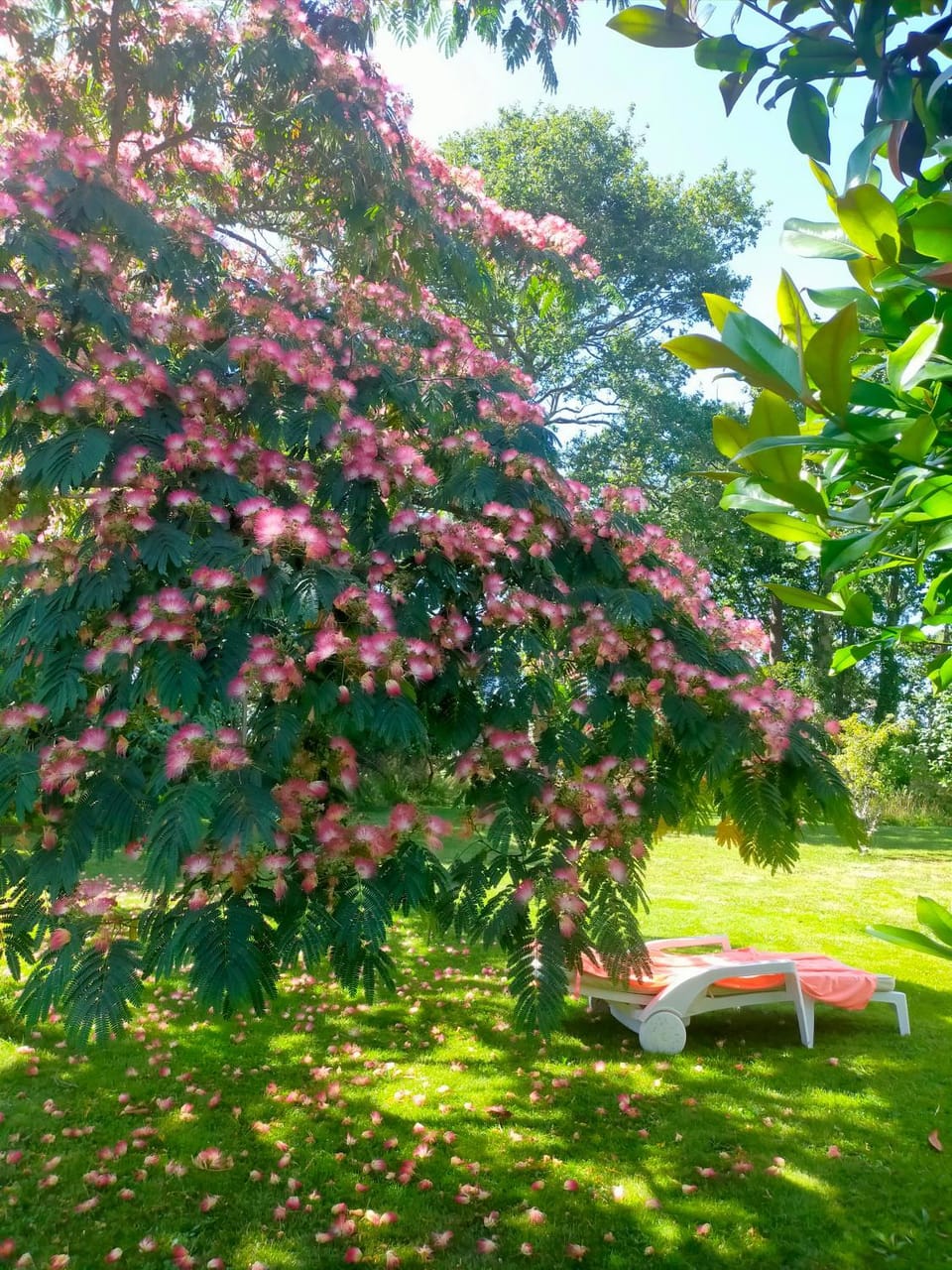 Chez Coco Bed and Breakfast in Concarneau