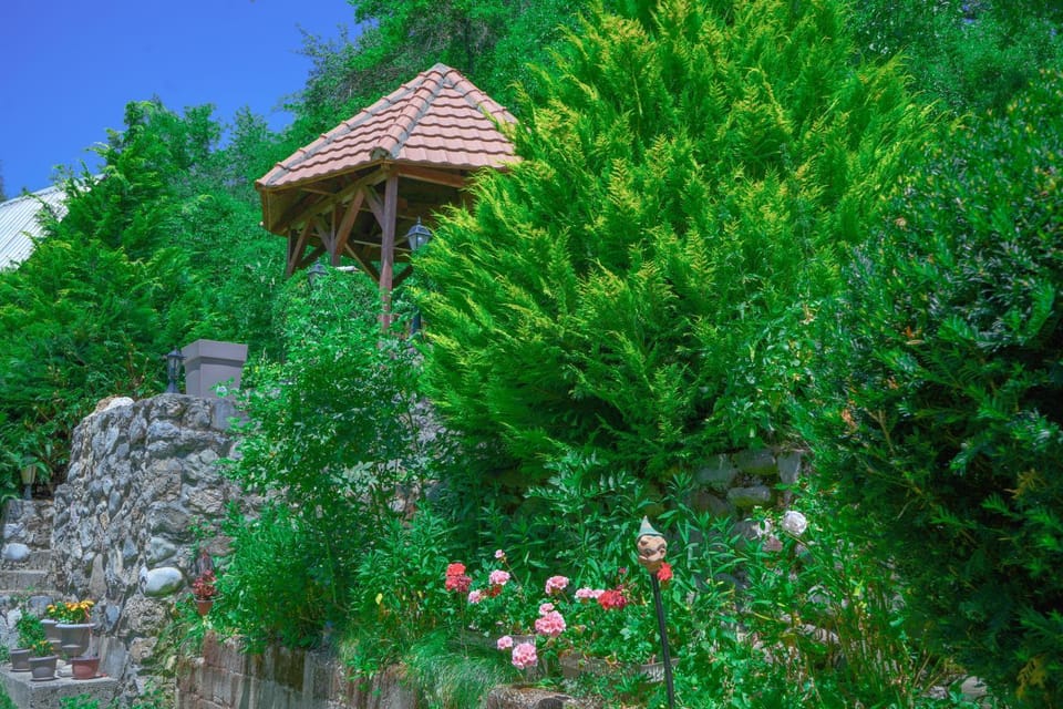 Natural landscape, Garden view