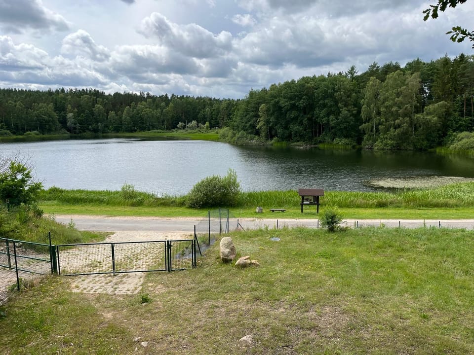 Lake view