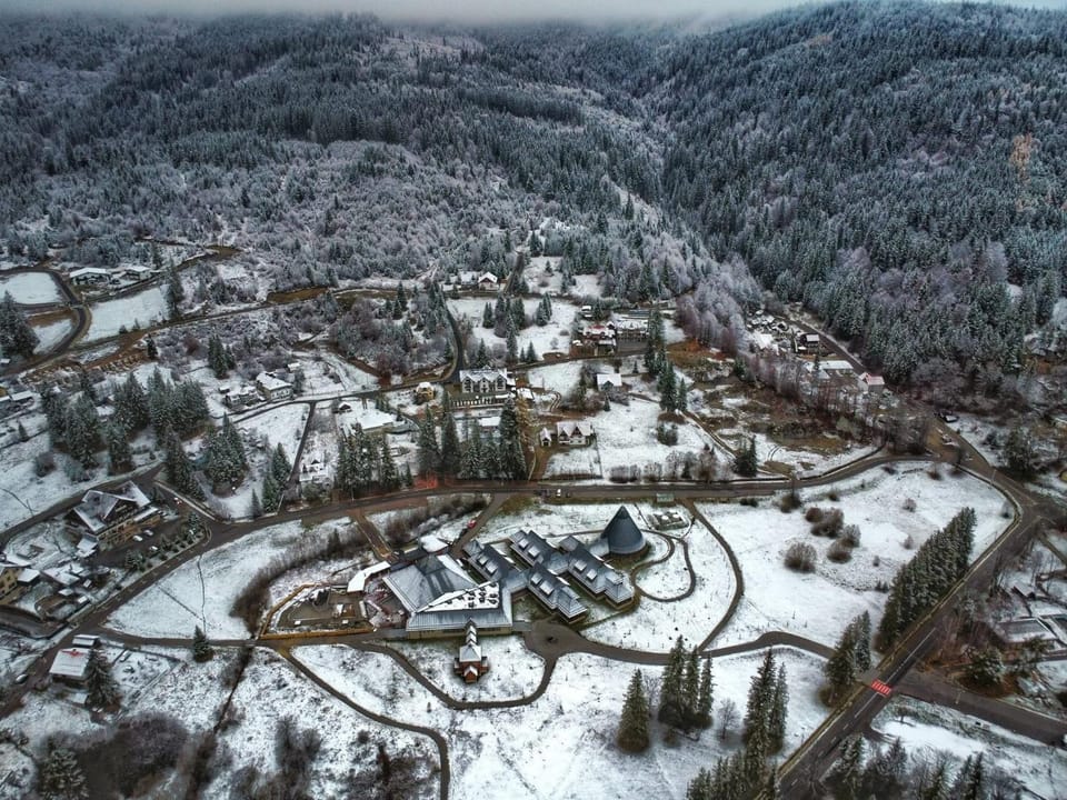 Vila Panova Bed and Breakfast in Romania