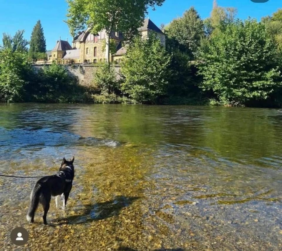 Day, Natural landscape, Pets, River view
