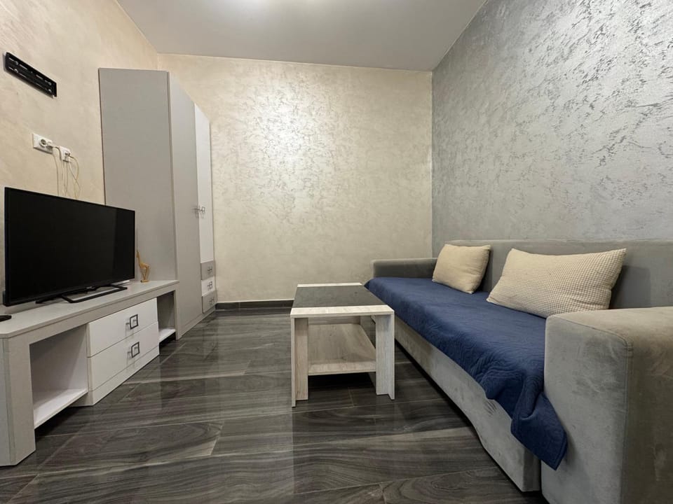 Communal lounge/ TV room, TV and multimedia, Living room, Seating area, Evening entertainment, air conditioner