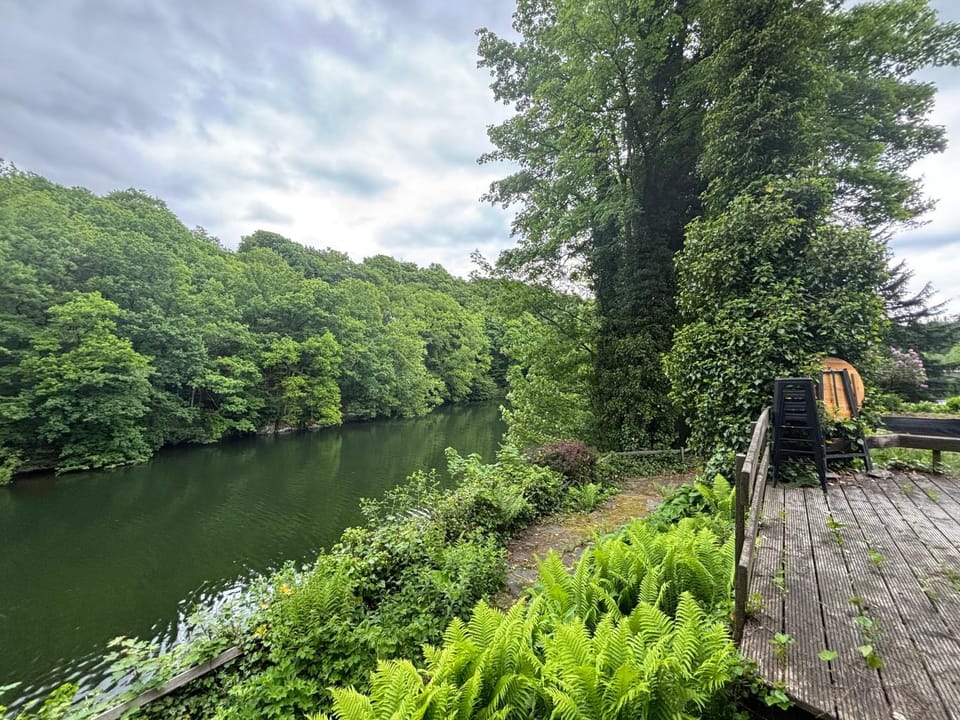 Spring, Day, Natural landscape, Garden, Garden view, Lake view