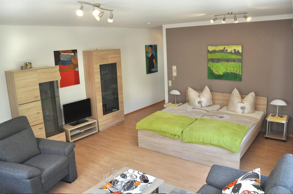 Bed, TV and multimedia, Living room, Seating area, Evening entertainment, Bedroom