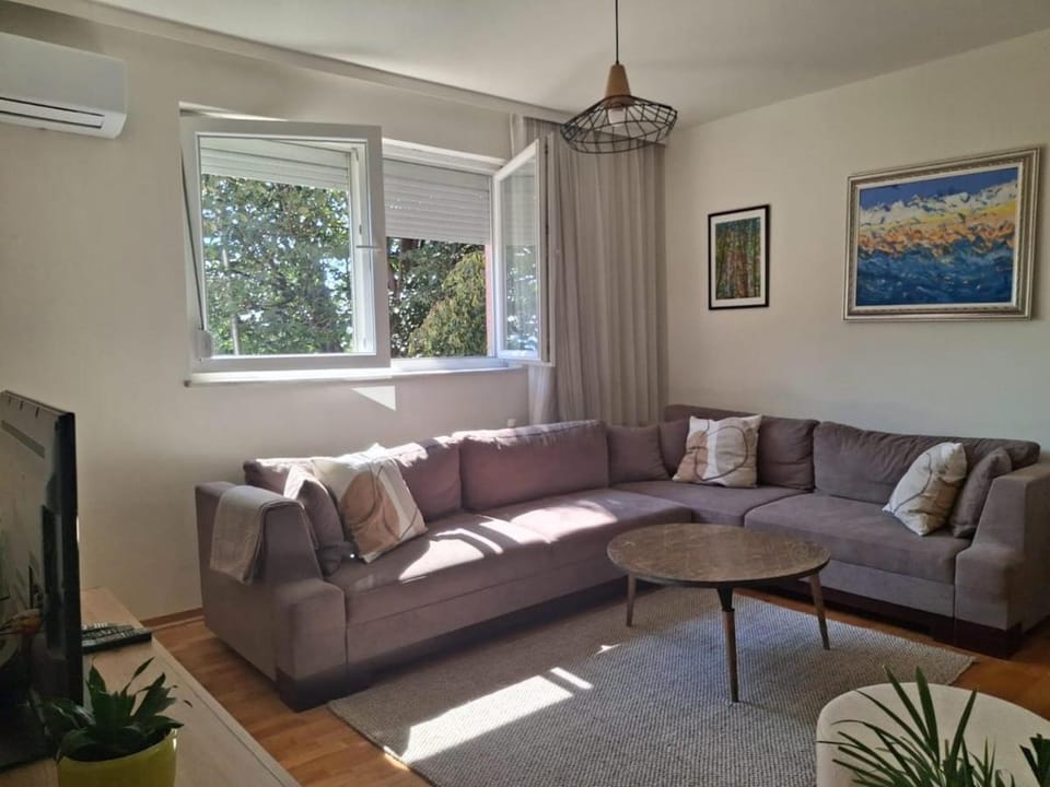 Living room, Seating area, air conditioner