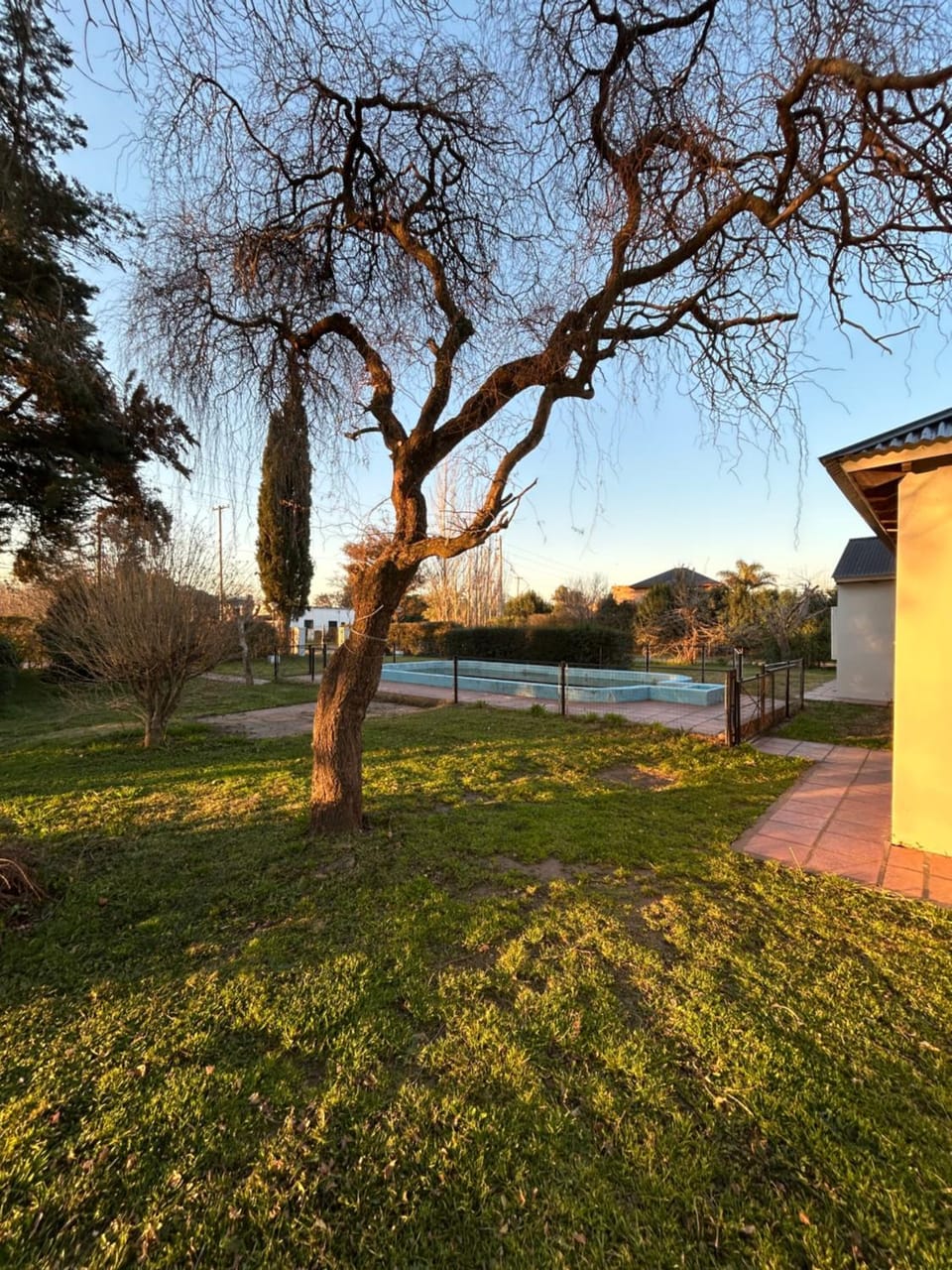 Day, Natural landscape, Garden, Garden view