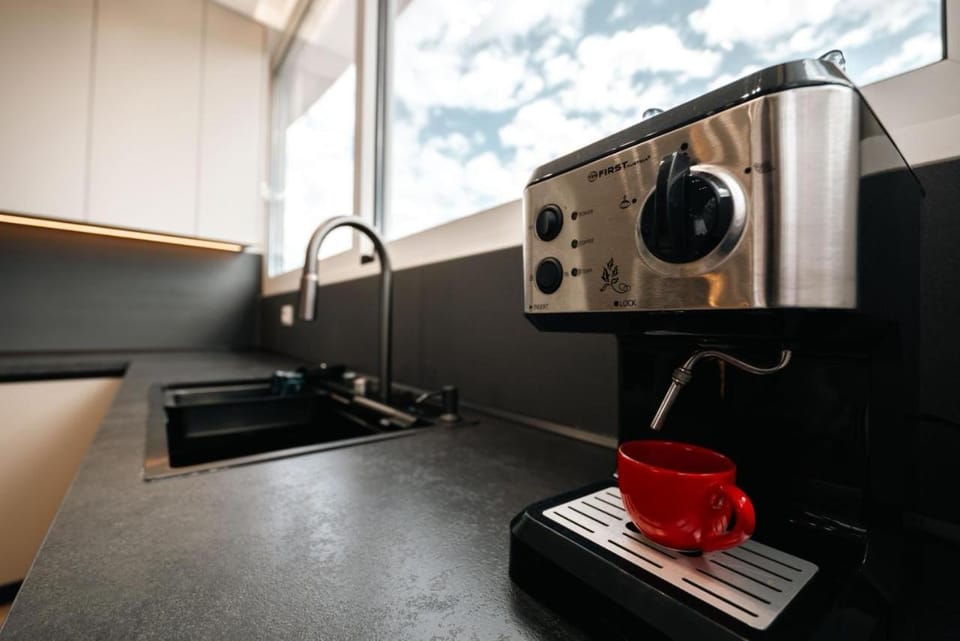 Coffee/tea facilities, Kitchen or kitchenette, dishwasher, minibar, stove, toaster