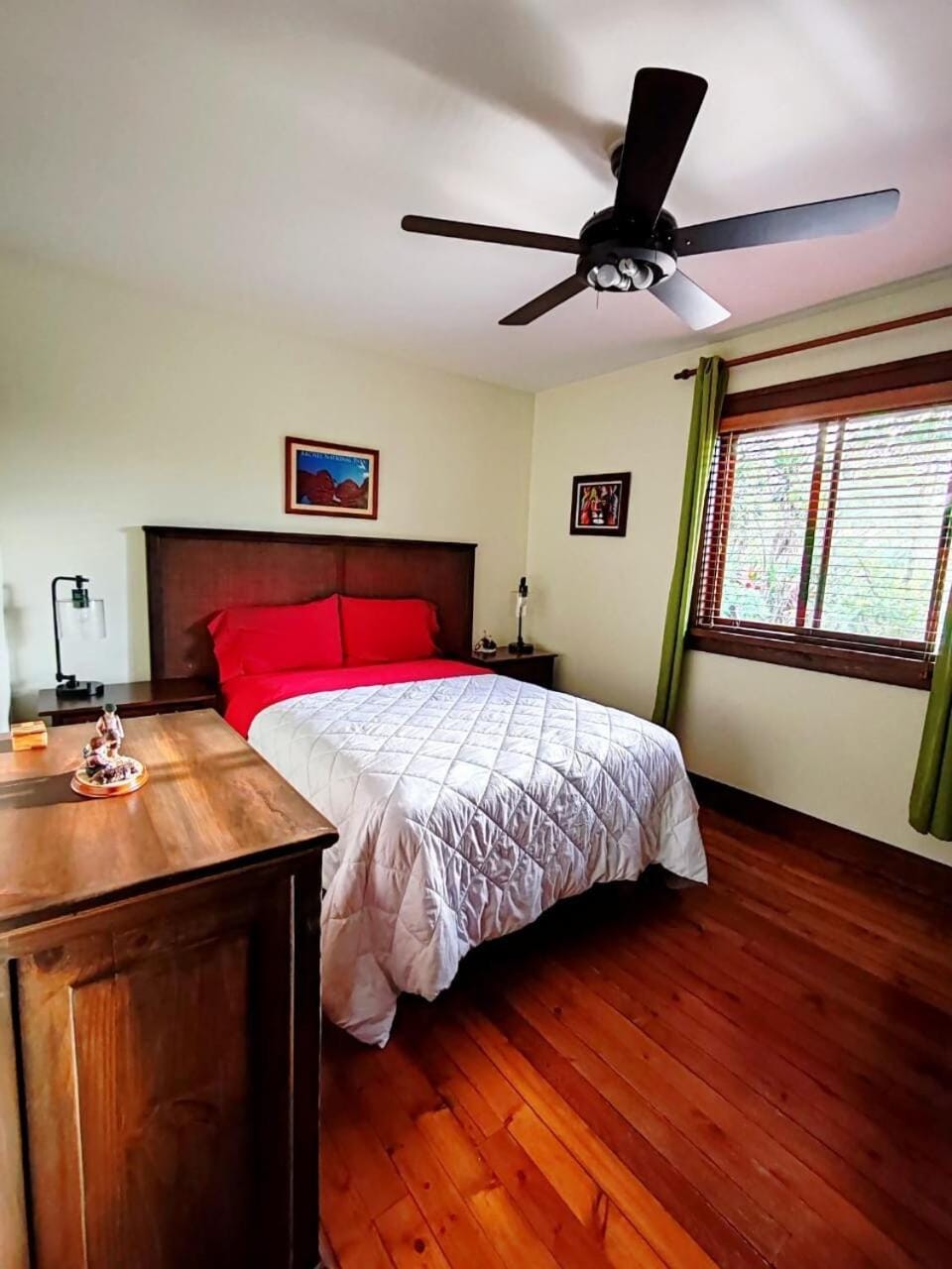 Mountain View Near SJO Airport Fast WiFi Apartment in Alajuela Province
