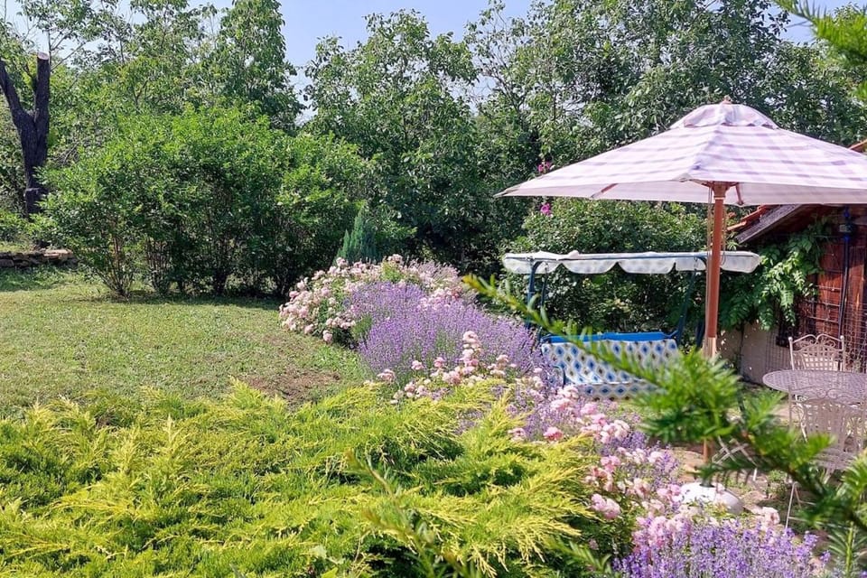 Patio, Spring, Day, Garden