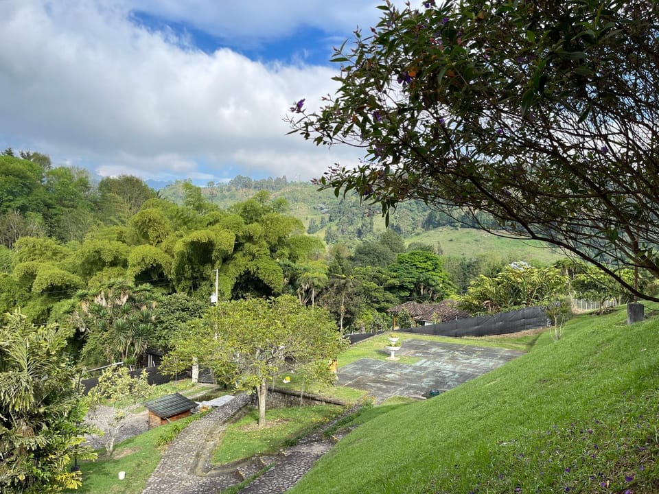 Natural landscape