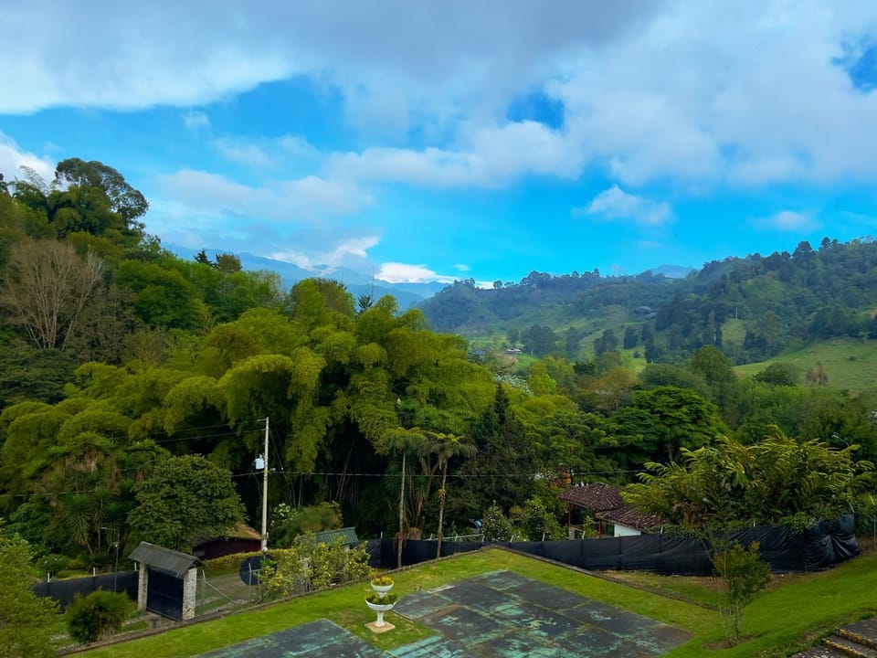 Mountain view