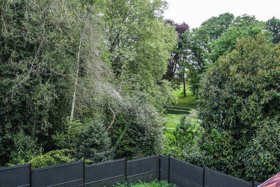 Natural landscape, Garden view