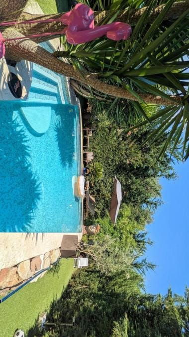Day, Swimming pool, sunbed