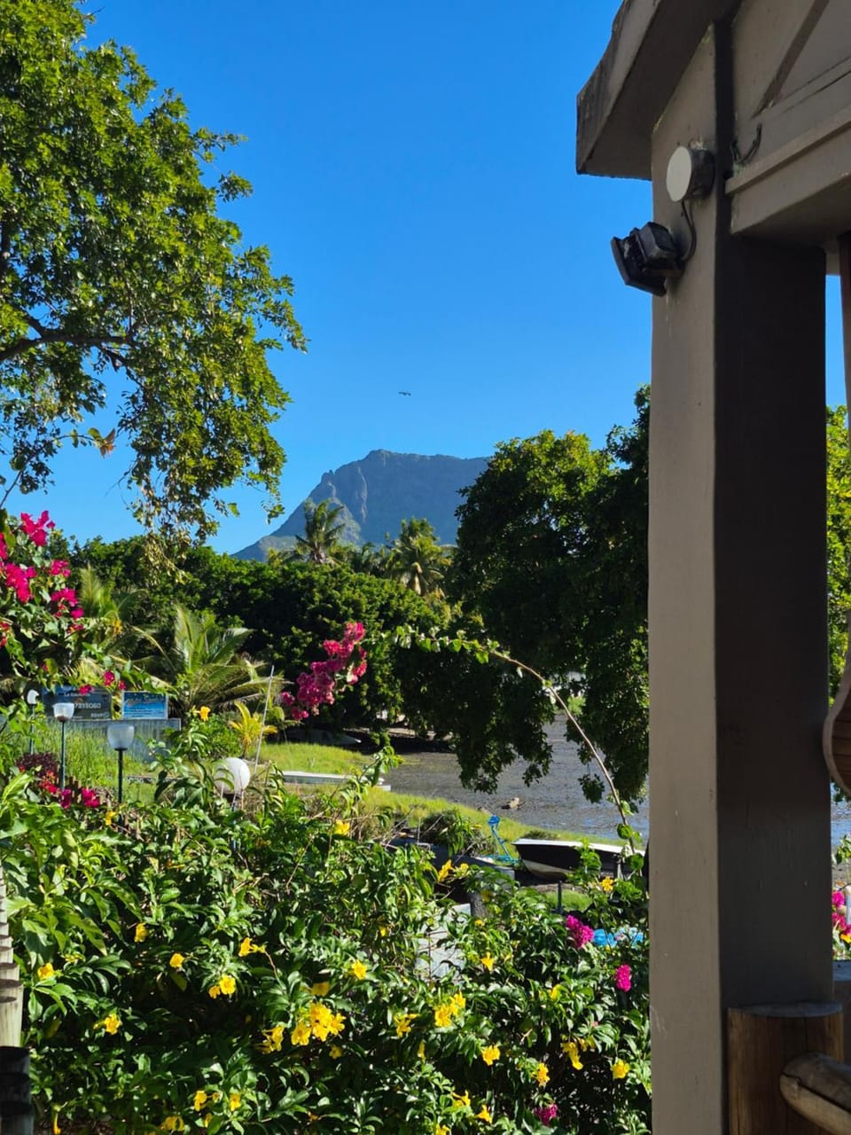 Honey studio Apartment in Rivière Noire District, Mauritius
