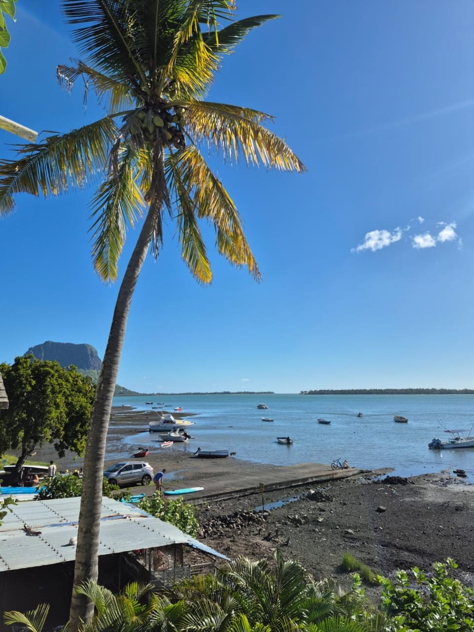 Honey studio Apartment in Rivière Noire District, Mauritius
