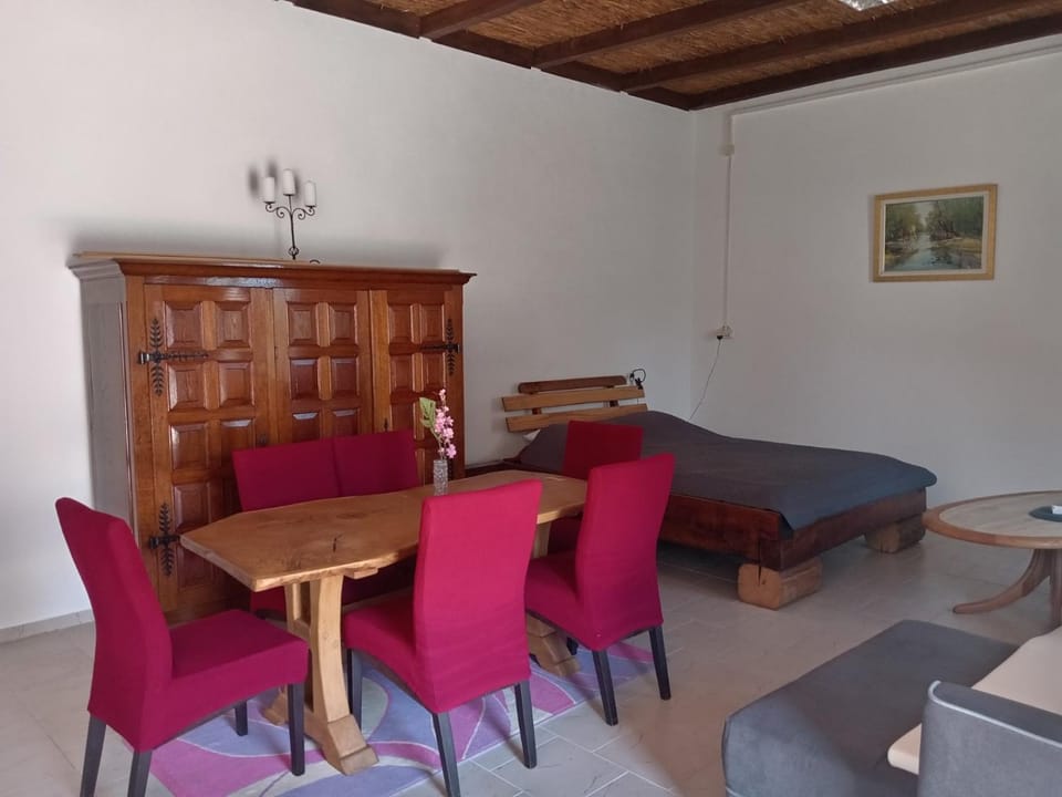 Renesansa Apartment in Vojvodina