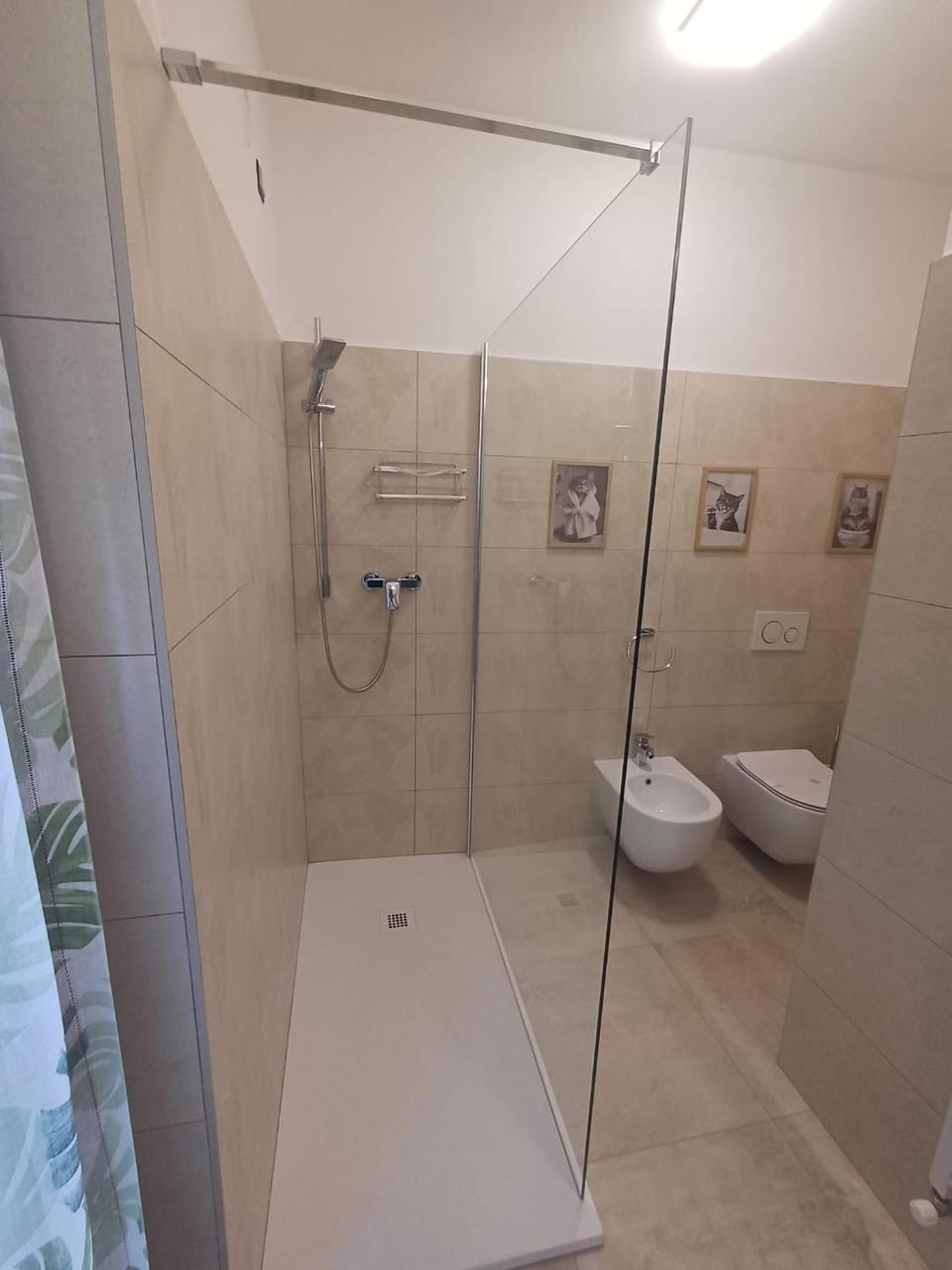 Shower