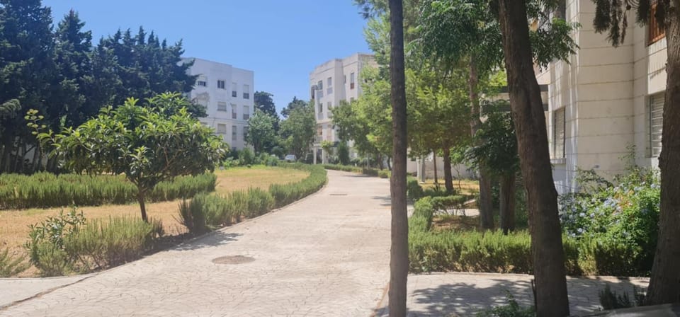 Garden, Garden view
