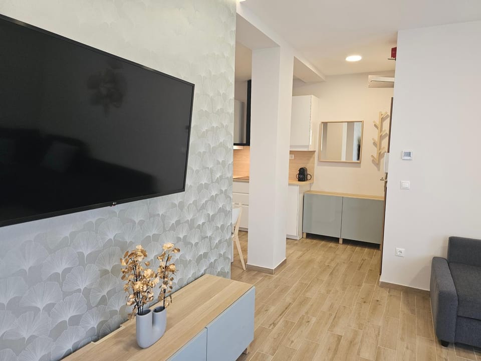 TV and multimedia