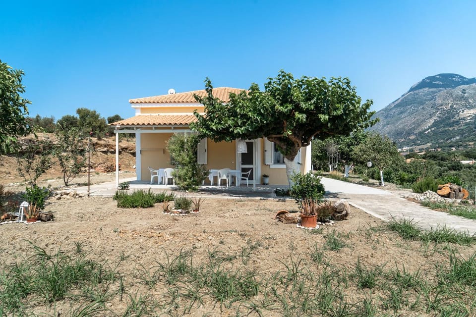 Day, Garden, Garden view