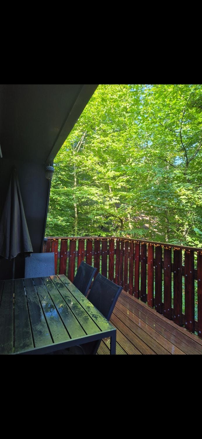 Bois d' Azur House in Belgium