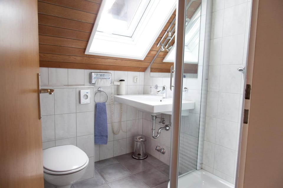 Shower, Toilet, Bathroom, towels