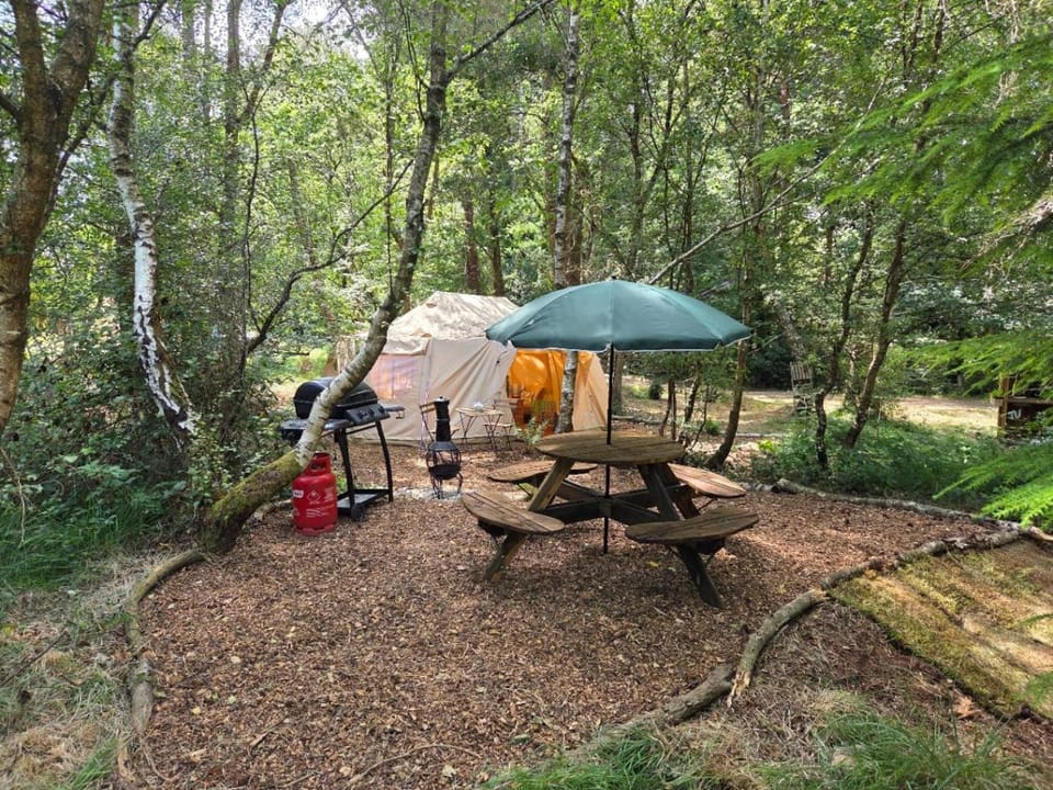 Bovey Heath Retreat Luxury tent in Bovey Tracey