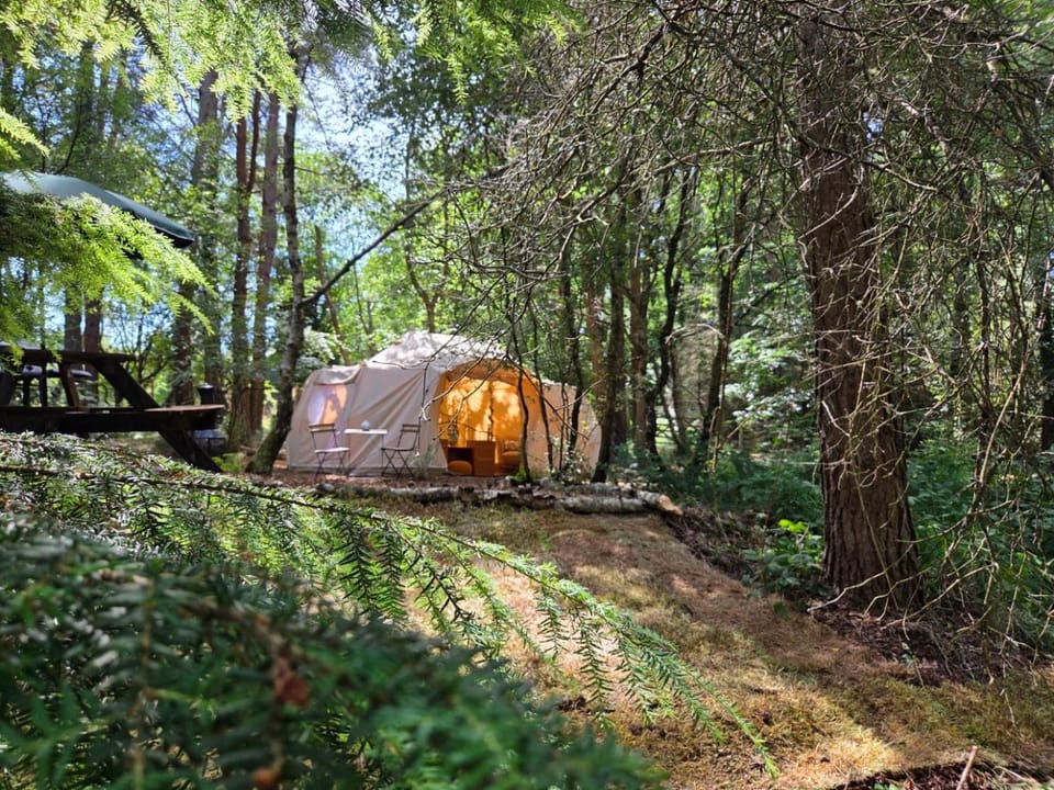 Bovey Heath Retreat Luxury tent in Bovey Tracey