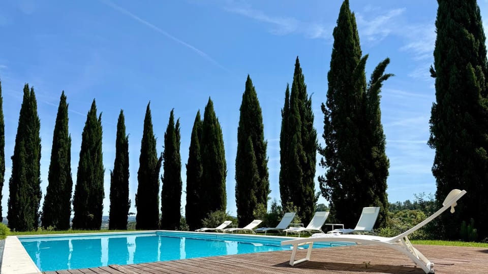 Spring, Day, Garden, Garden view, sunbed