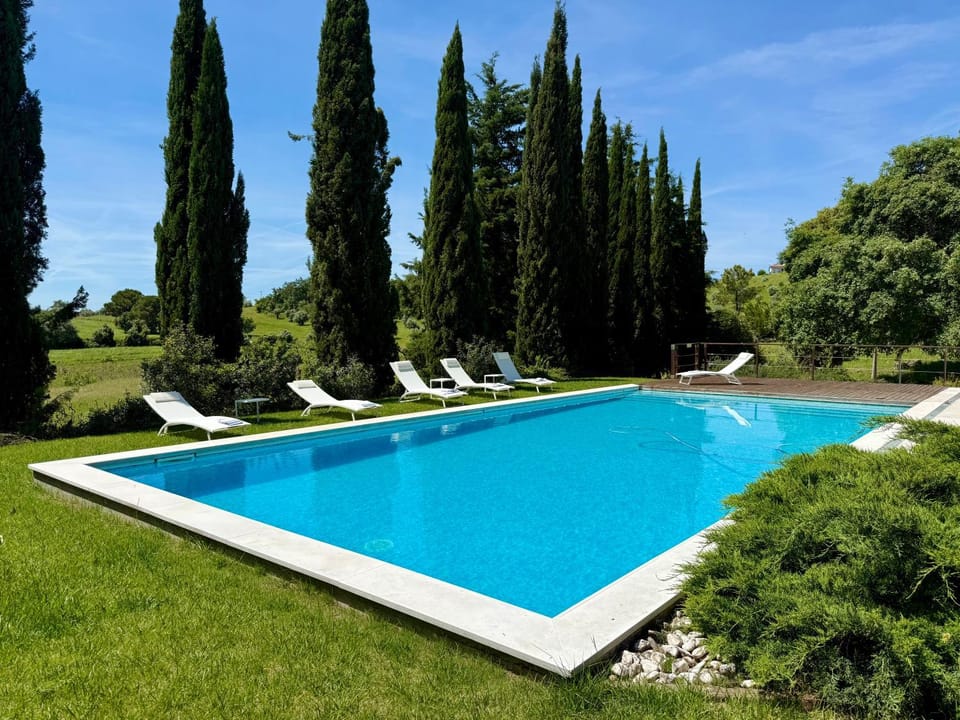 Day, Natural landscape, Garden, Garden view, Pool view, Swimming pool, sunbed