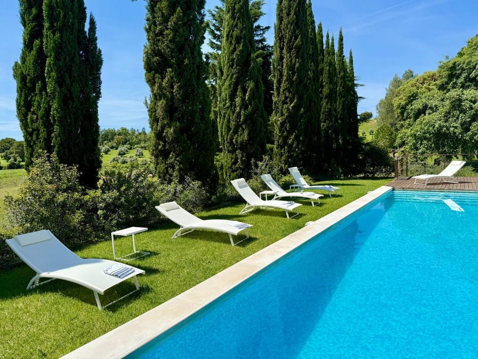 Natural landscape, Garden, Garden view, Pool view, Swimming pool, sunbed