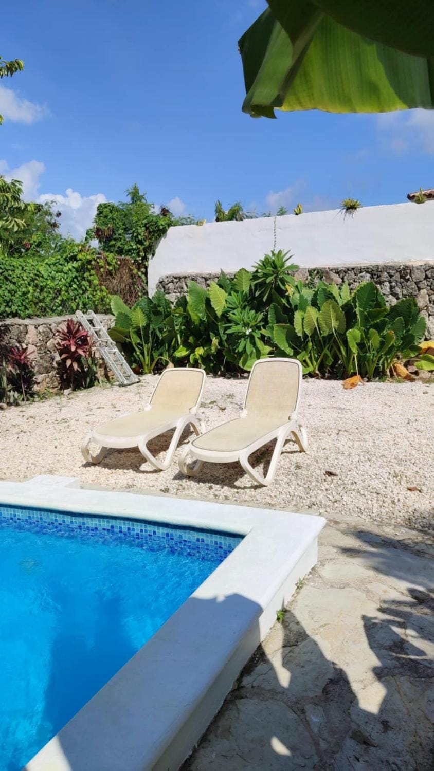 Facade/entrance, Garden, Garden view, Pool view, Swimming pool, sunbed