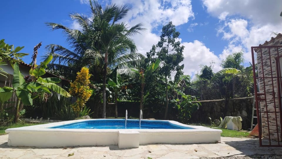 Natural landscape, Garden, Garden view, Pool view, Swimming pool