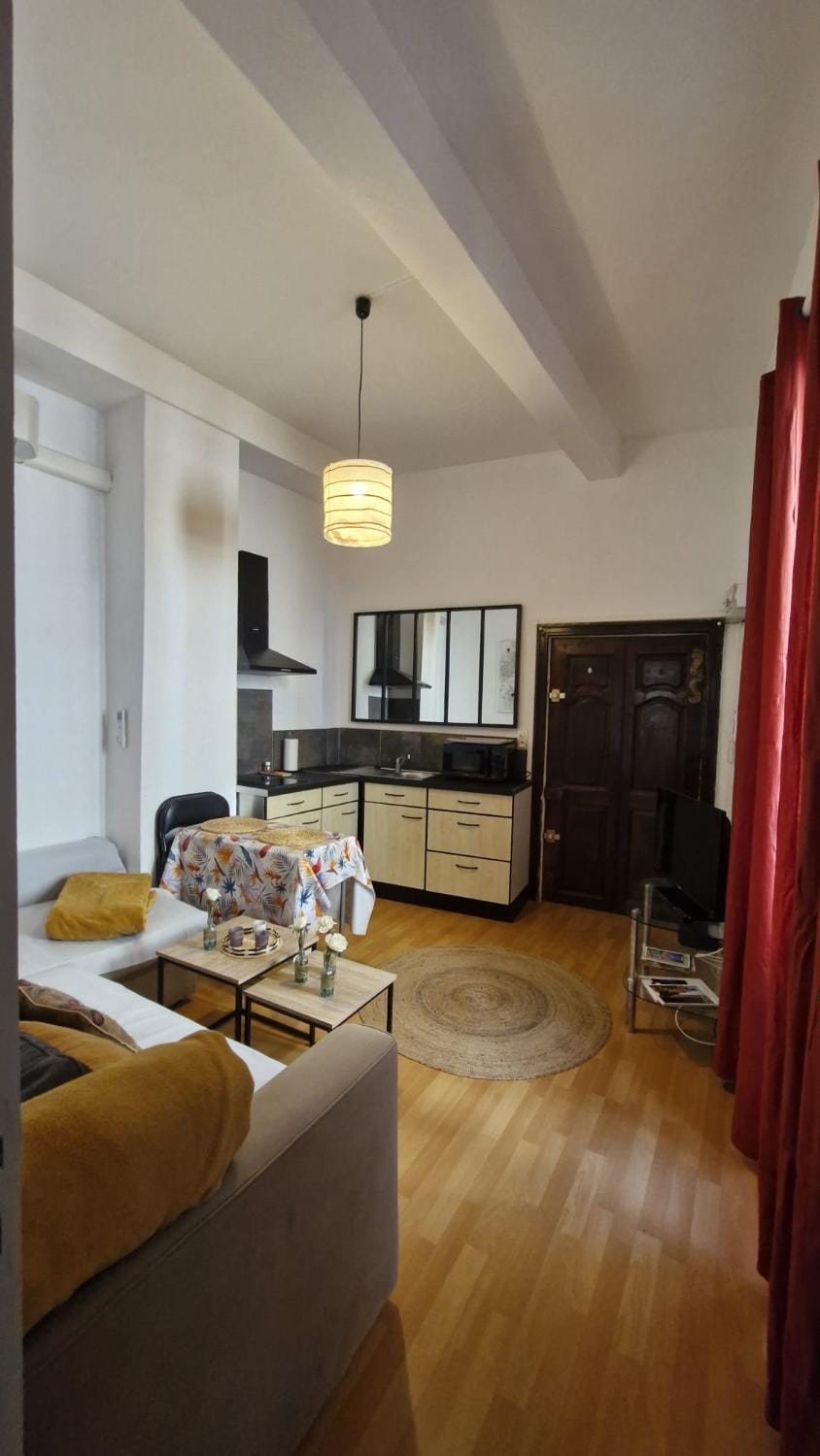 Appartement Apartment in Uzes