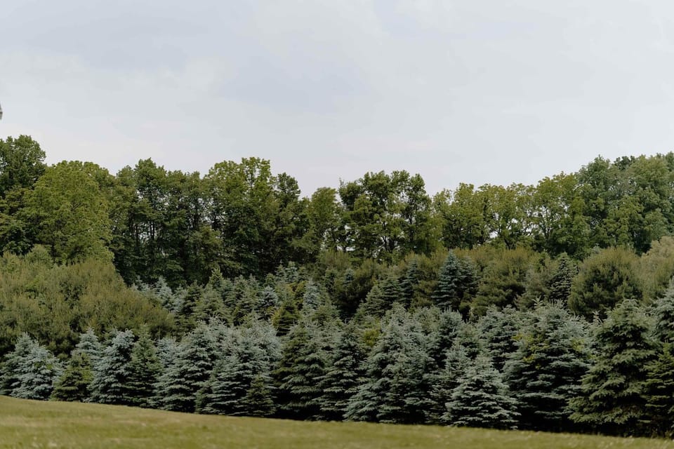 Natural landscape