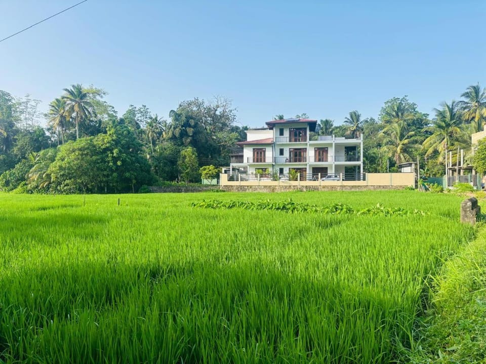 Property building, Natural landscape