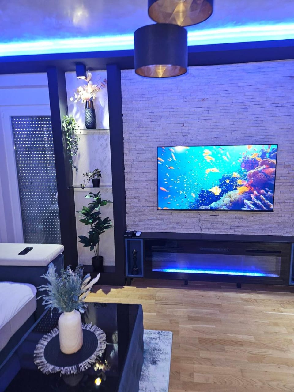 TV and multimedia, fireplace