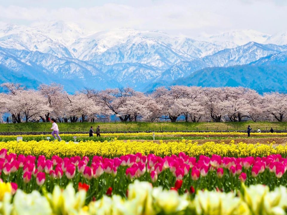 Nearby landmark, Spring