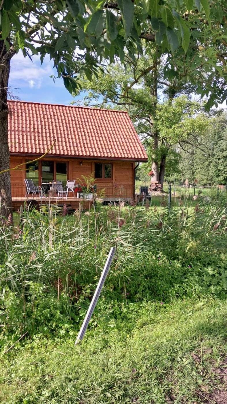 Domek pod jesionami Nature lodge in Poland