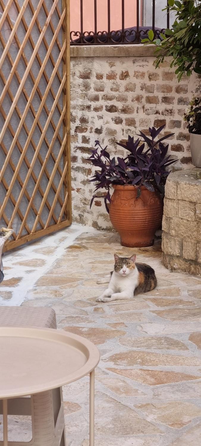 Portoni Apartamento Apartment in Corfu