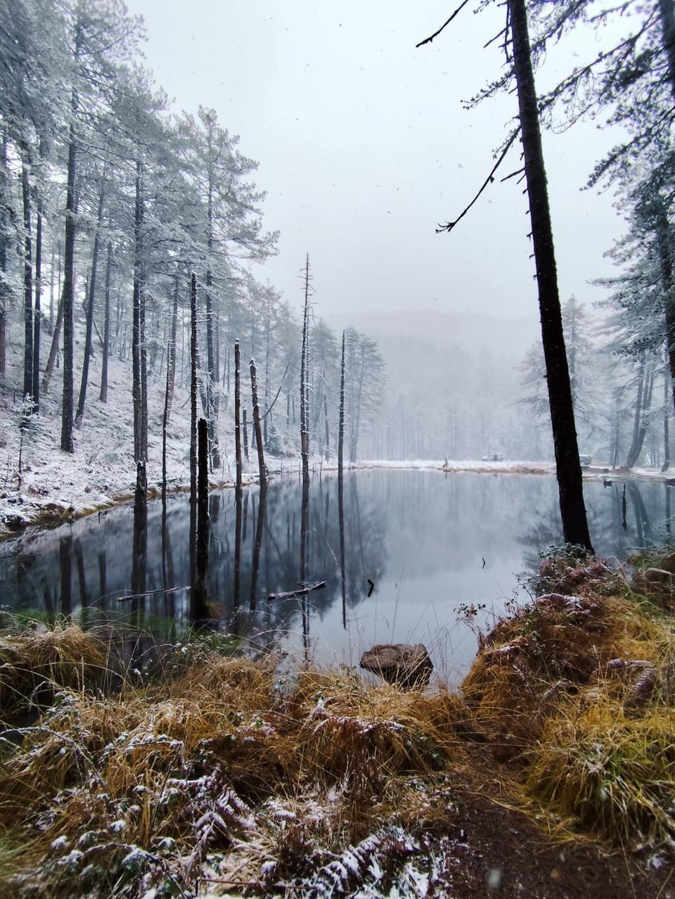Nearby landmark, Natural landscape
