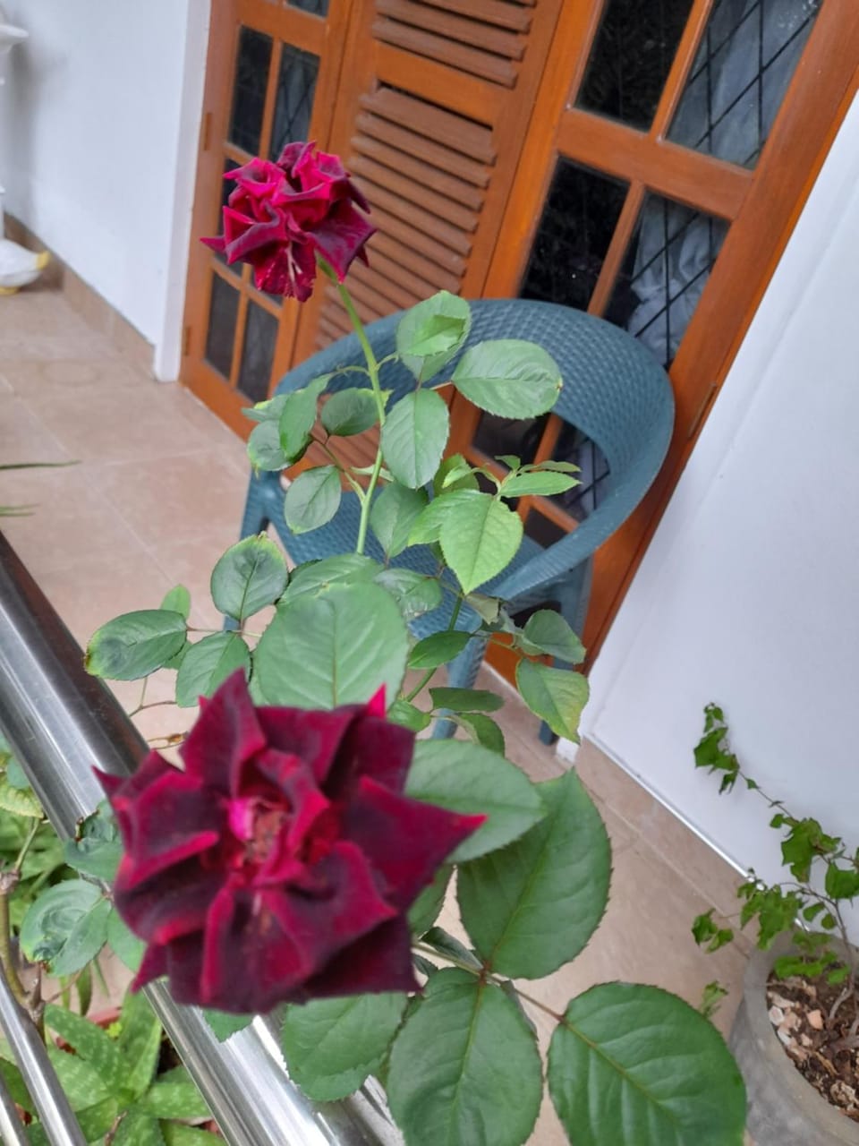 Hillstream Home Stay Vacation rental in Kandy