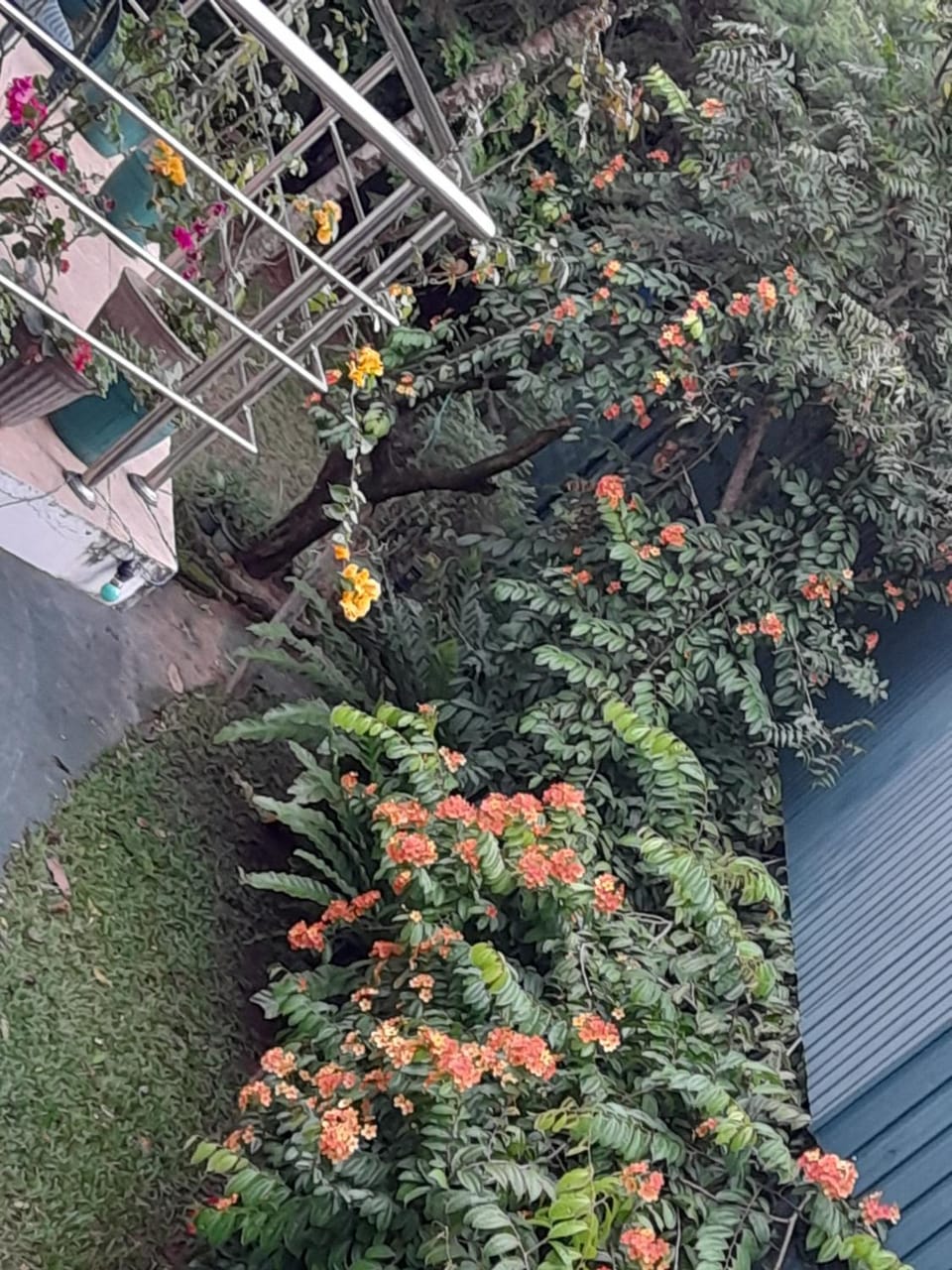 Hillstream Home Stay Vacation rental in Kandy